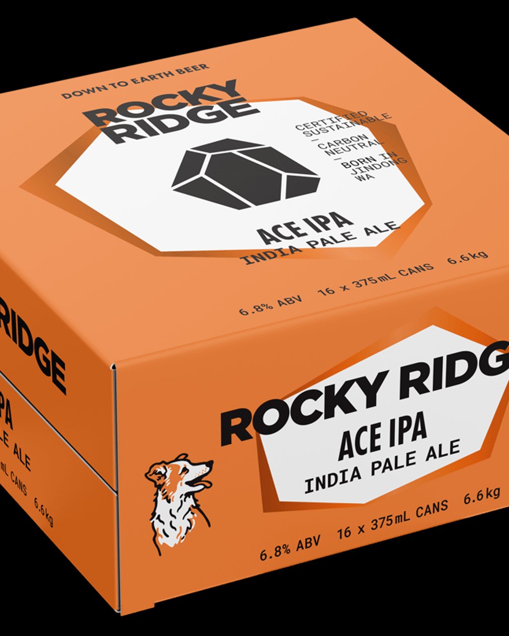 ACE IPA Cans